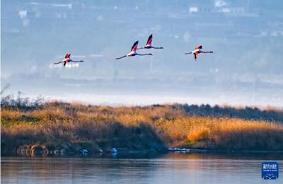  初冬時(shí)節(jié)，神州大地開(kāi)啟“美顏”模式  